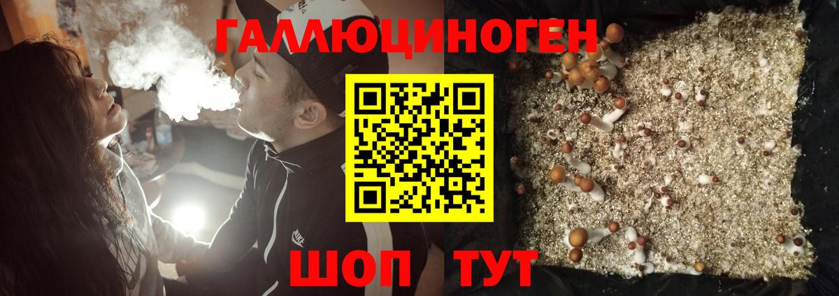 Псилоцибиновые грибы мицелий  Вход с VPN  Пугачёв  где купить наркоту  Галлюциногенные грибы мицелий 